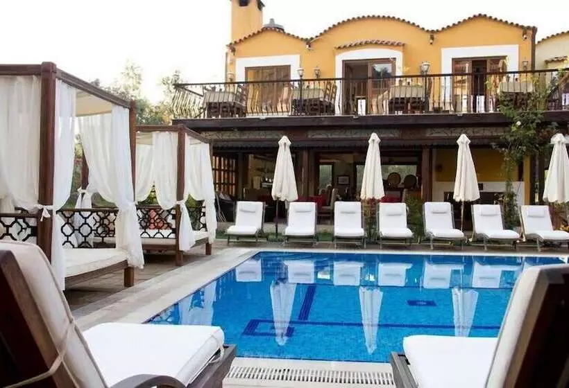 The Olive Tree Studios   Adults Only