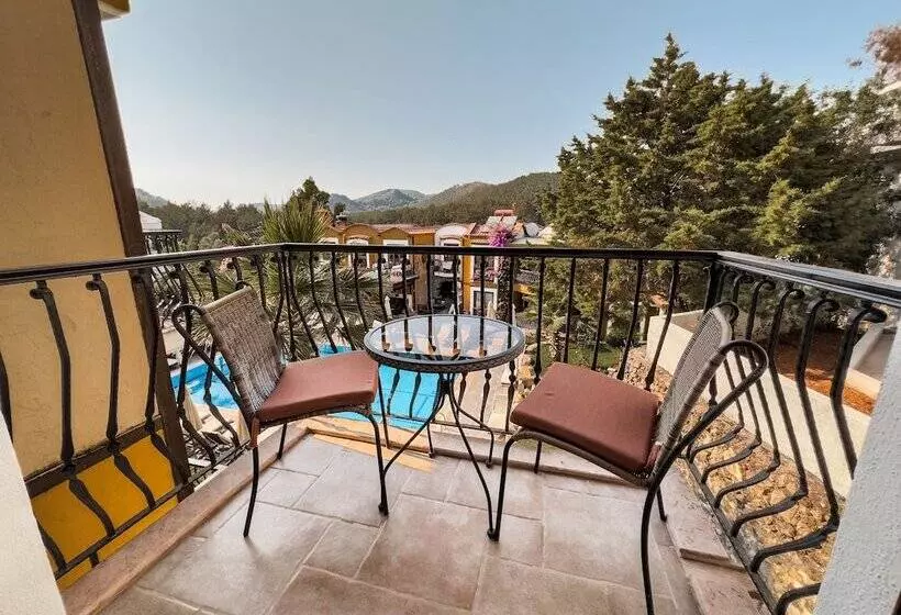 The Olive Tree Studios   Adults Only