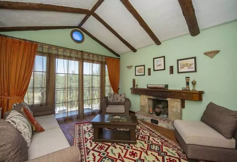 The Olive Tree Studios   Adults Only