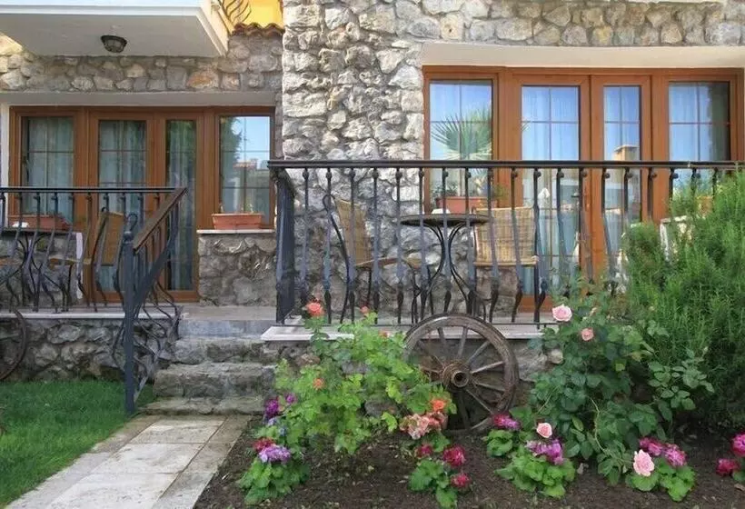 The Olive Tree Studios   Adults Only