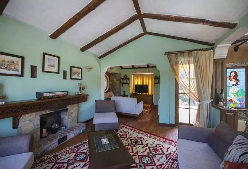 The Olive Tree Studios   Adults Only