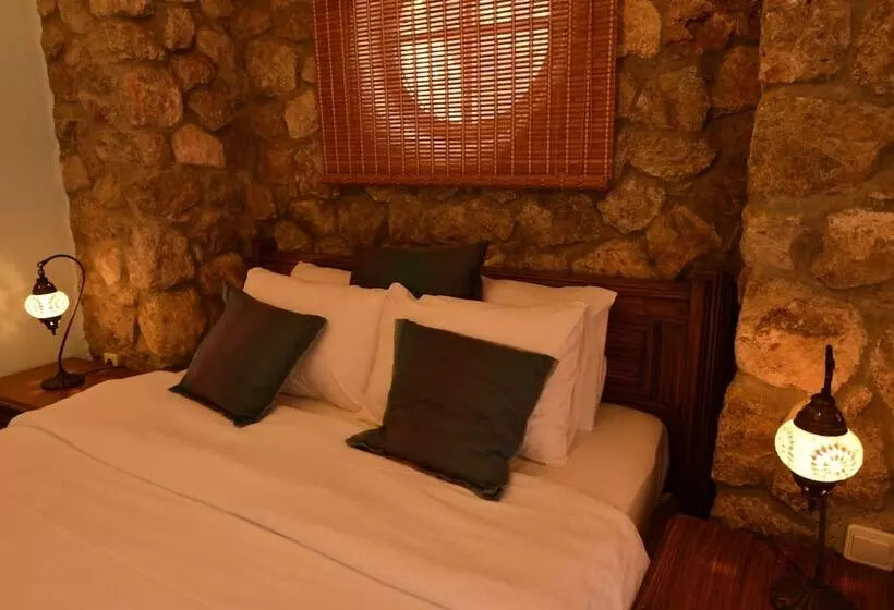 The Olive Tree Studios   Adults Only