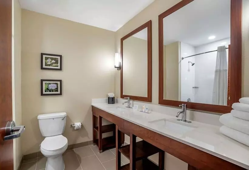 ホテル Comfort Inn & Suites