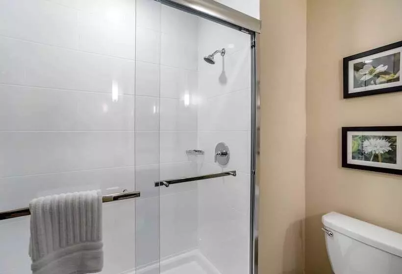 ホテル Comfort Inn & Suites