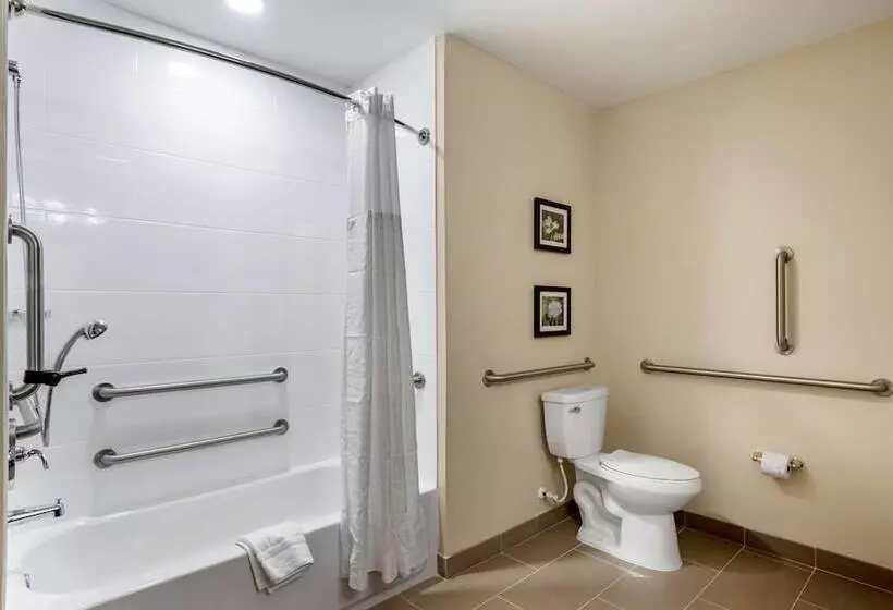 ホテル Comfort Inn & Suites