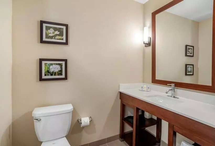 ホテル Comfort Inn & Suites