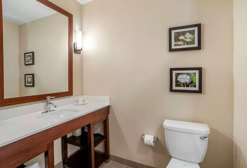 ホテル Comfort Inn & Suites