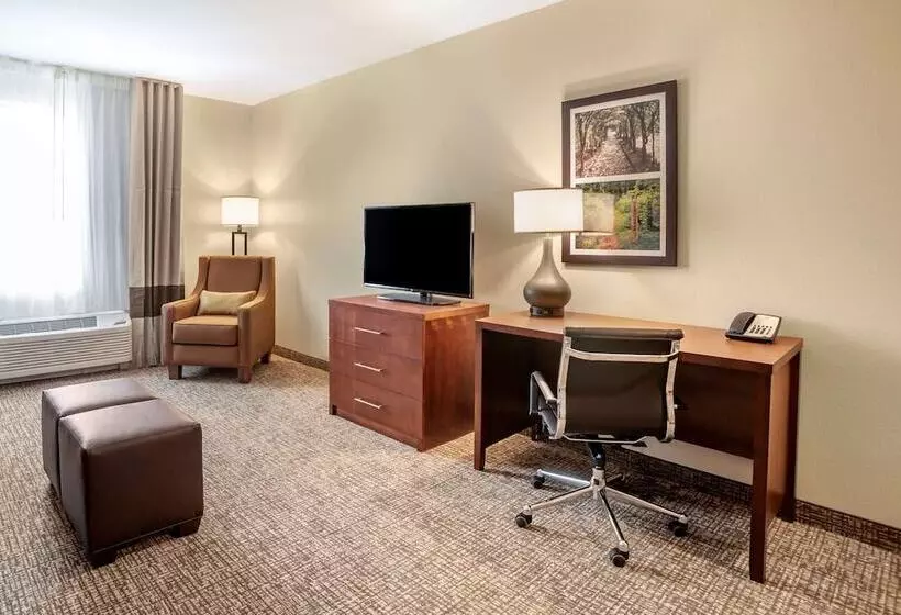 ホテル Comfort Inn & Suites