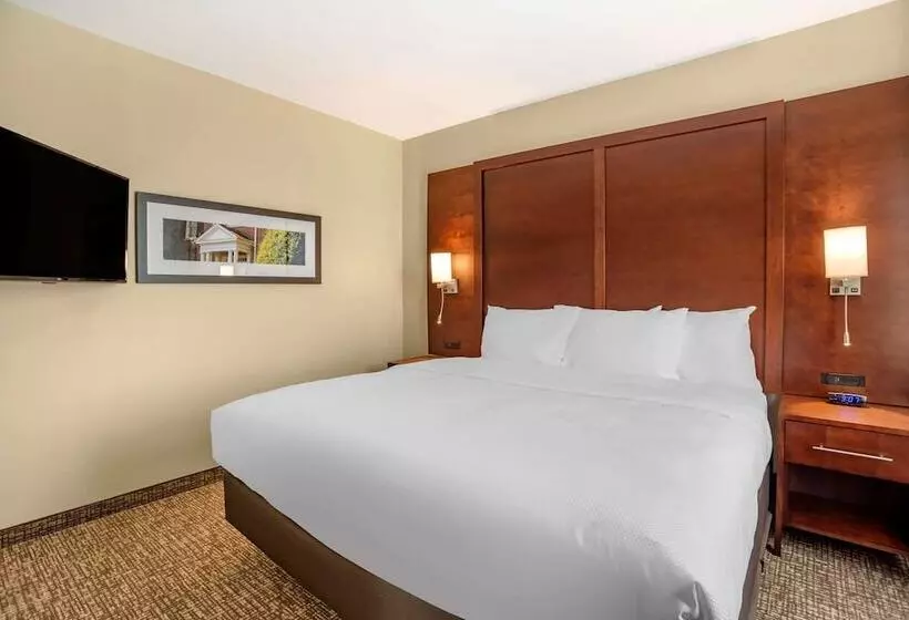 ホテル Comfort Inn & Suites