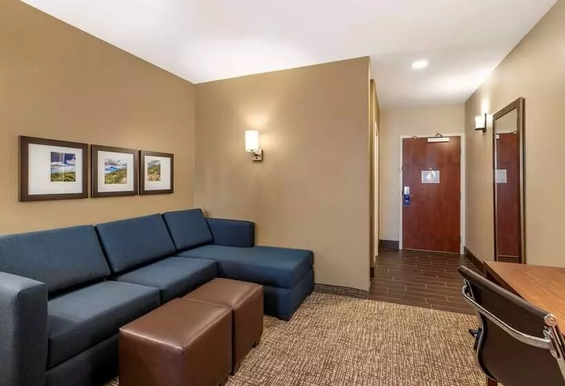 ホテル Comfort Inn & Suites