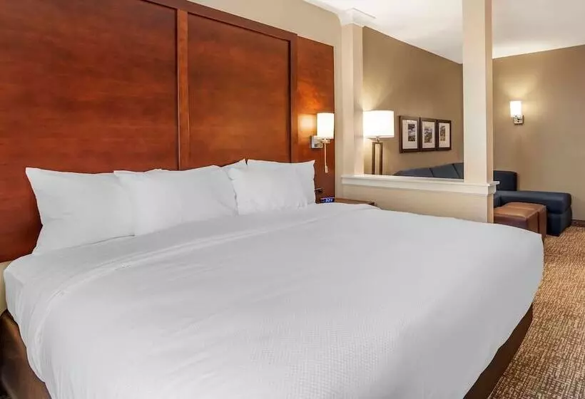 ホテル Comfort Inn & Suites