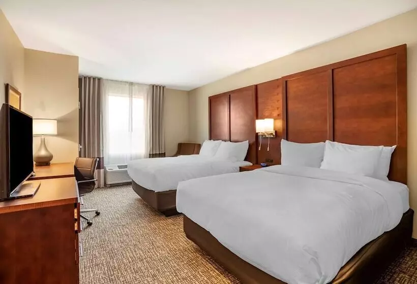 ホテル Comfort Inn & Suites