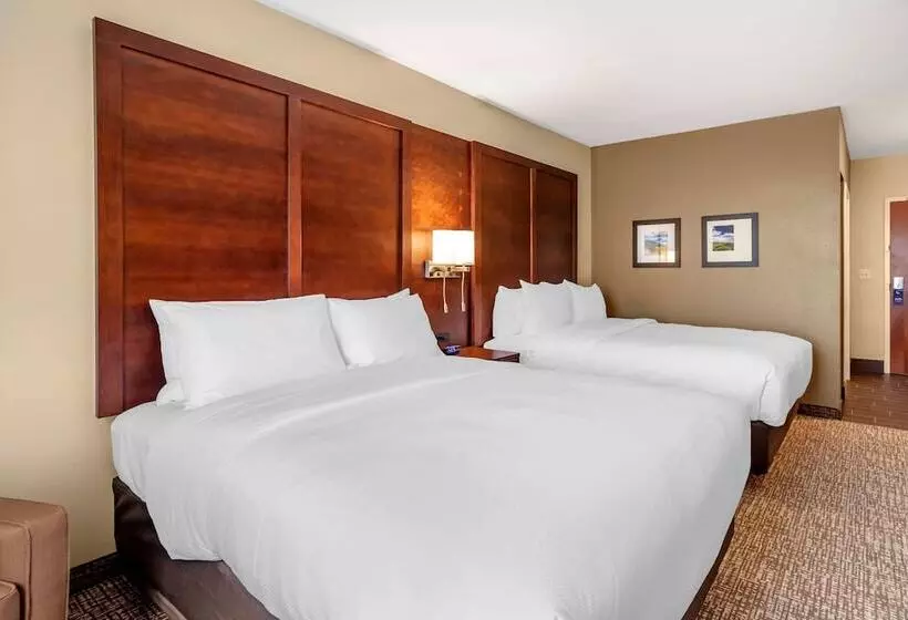 ホテル Comfort Inn & Suites