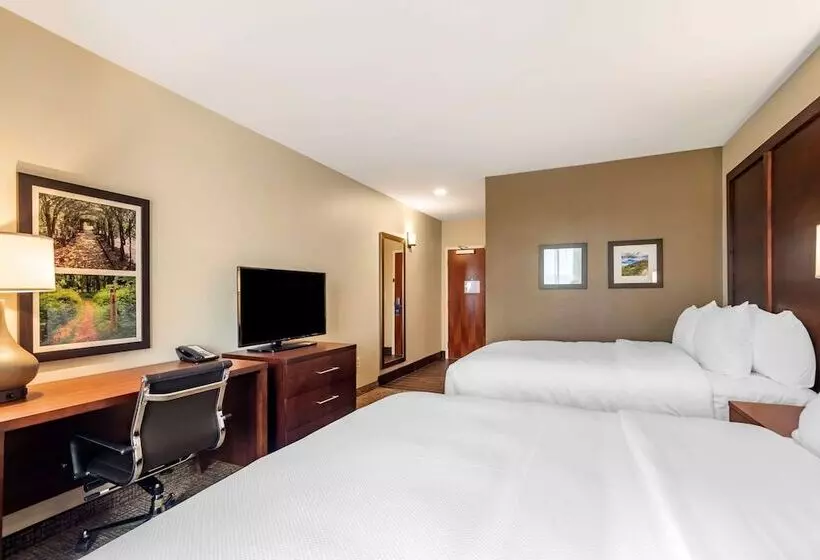 ホテル Comfort Inn & Suites