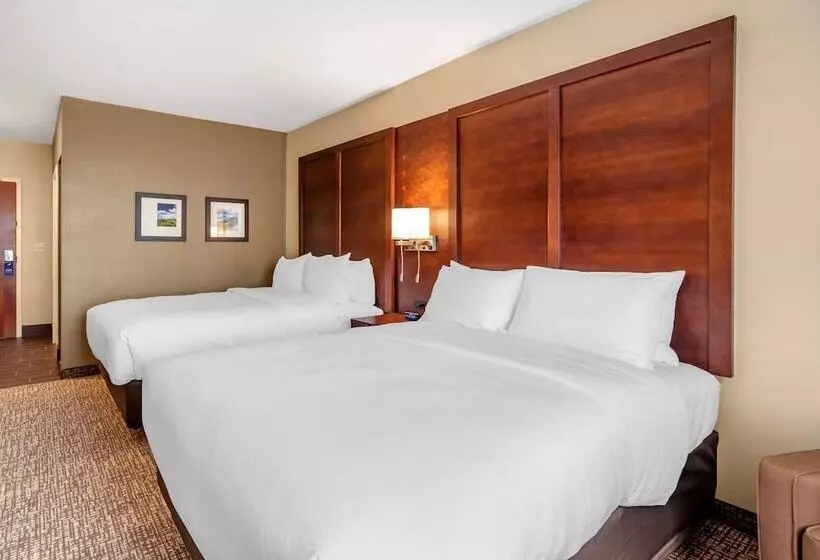 ホテル Comfort Inn & Suites