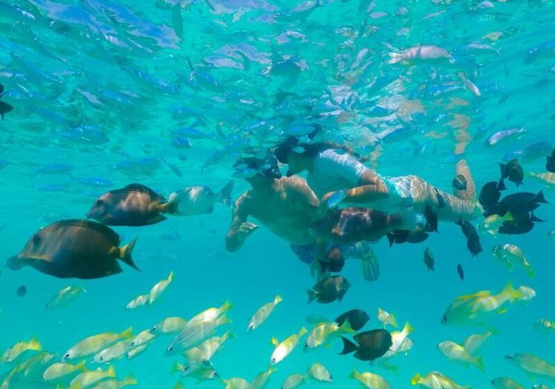 هتل Kagi Maldives Resort & Spa