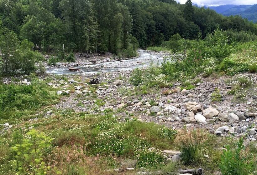 095gs Hot Tub Wifi Pets Ok Sleeps 4