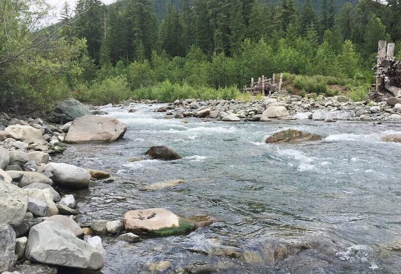 095gs Hot Tub Wifi Pets Ok Sleeps 4