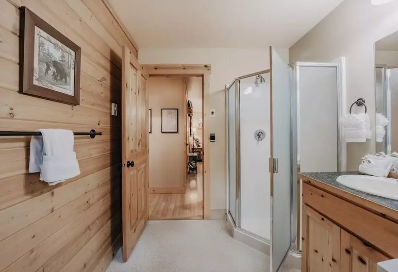 095gs Hot Tub Wifi Pets Ok Sleeps 4