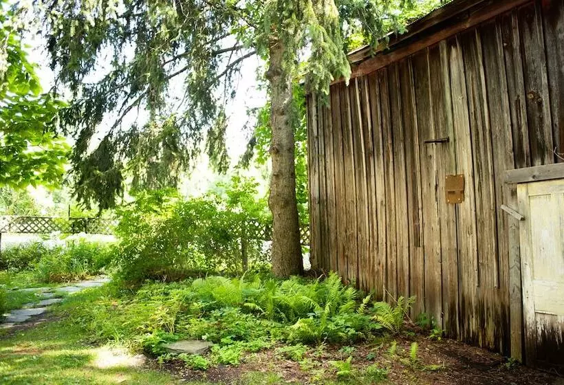 Black Walnut Bed And Breakfast