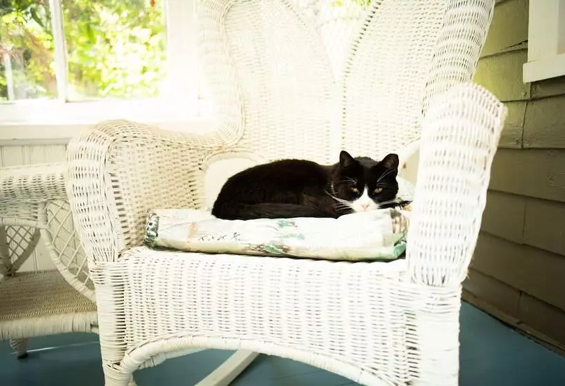 Black Walnut Bed And Breakfast