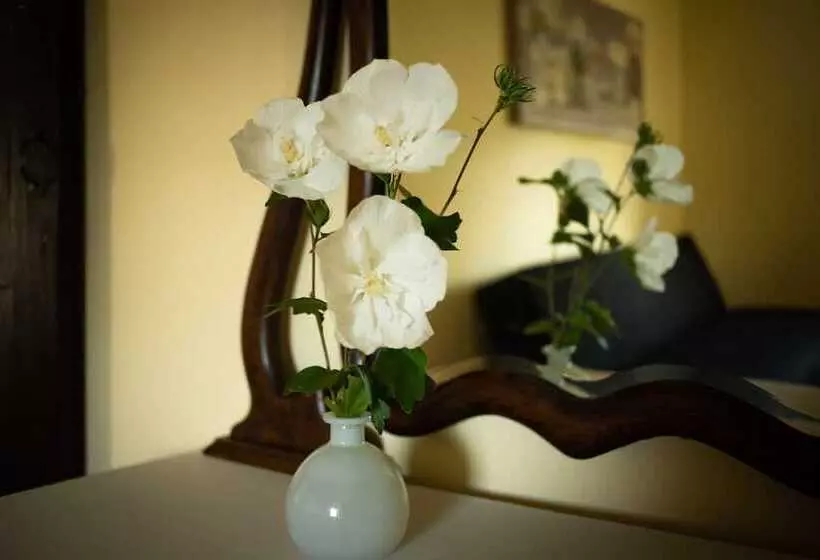 Black Walnut Bed And Breakfast