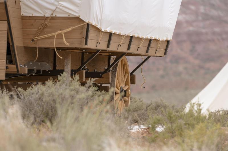 فندق Zion Wildflower