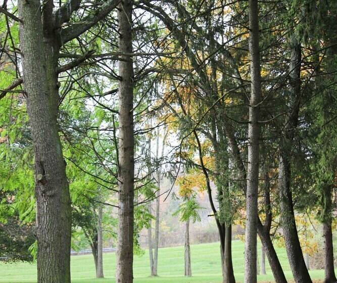 Motel Atlas Motor Lodge