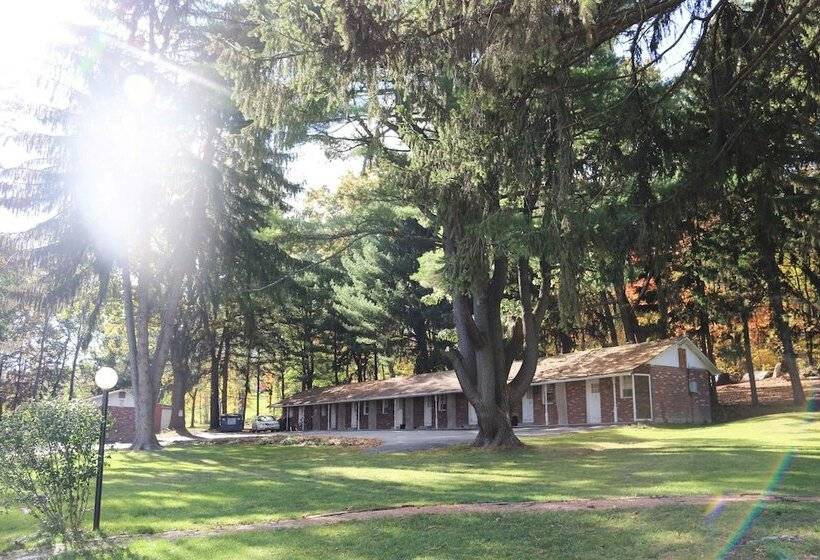 Motel Atlas Motor Lodge