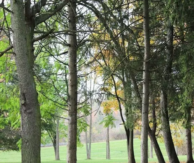 Motelli Atlas Motor Lodge