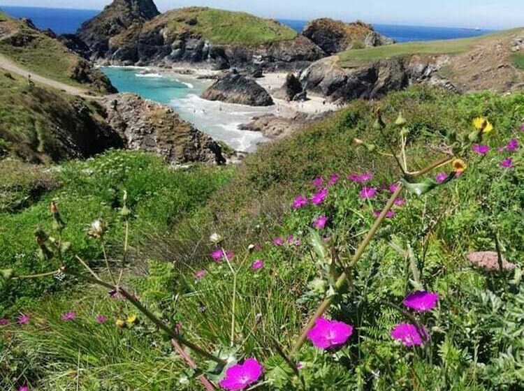 Kitty Unique 60s Caravan Set In Pretty Garden