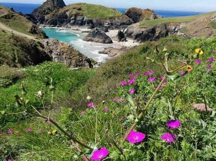 Kitty Unique 60s Caravan Set In Pretty Garden