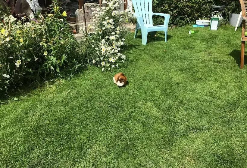 Kitty Unique 60s Caravan Set In Pretty Garden