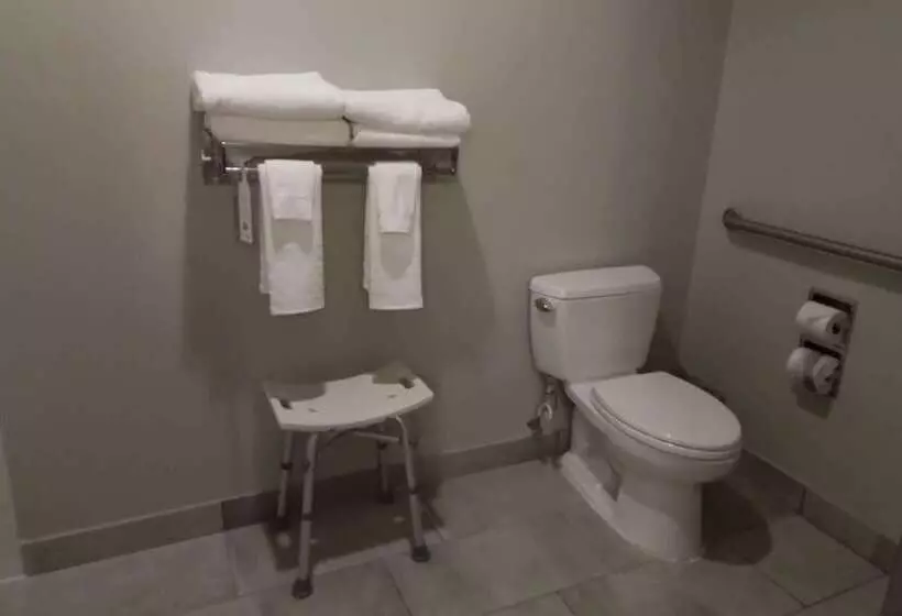 בית מלון כפרי Baymont By Wyndham Moses Lake