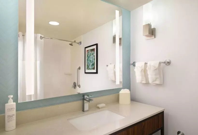 Hotel Hilton Garden Inn Houston/bush Intercontinental Airport