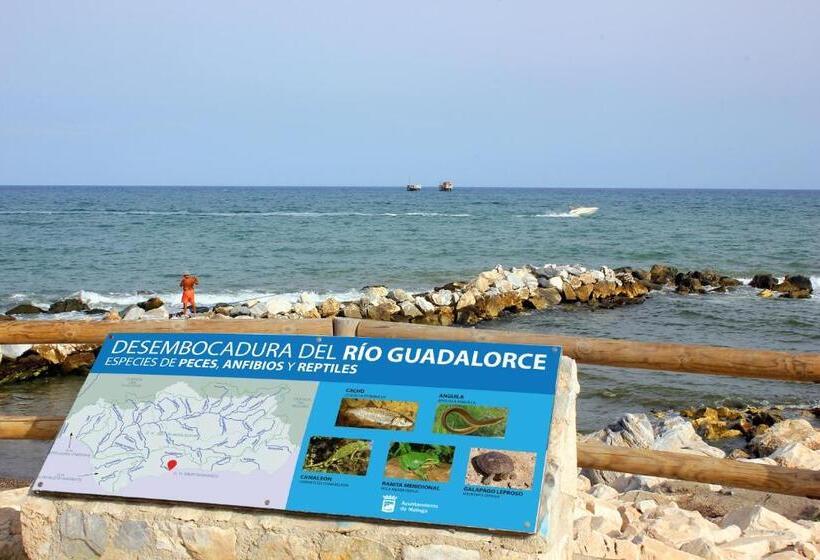 Hotel Malaga Picasso