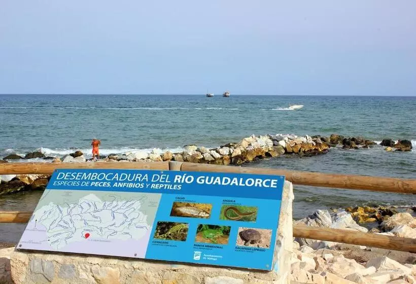 ホテル Malaga Picasso