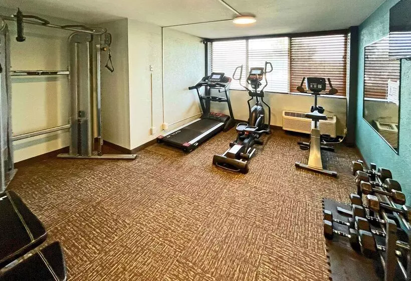 Hotel Quality Inn & Suites