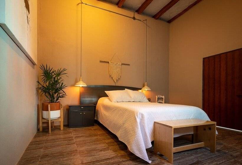 호스텔 Casa Isaki