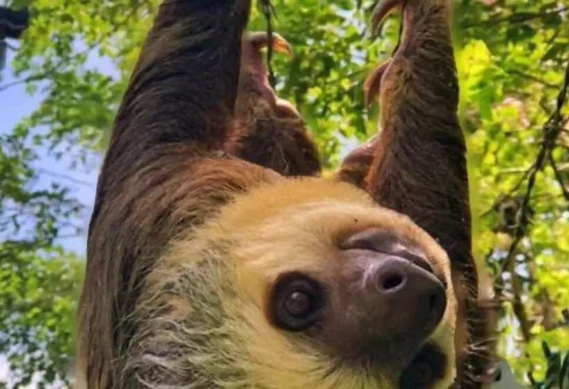 پانسیون Cataleya Hostel