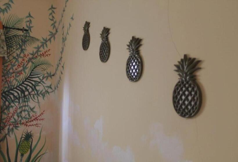 پانسیون Cataleya Hostel