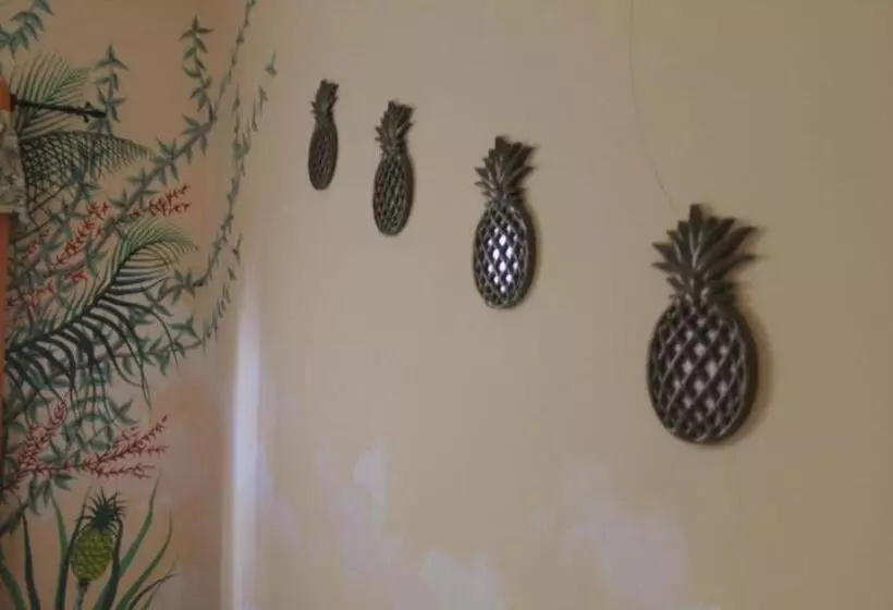 پانسیون Cataleya Hostel