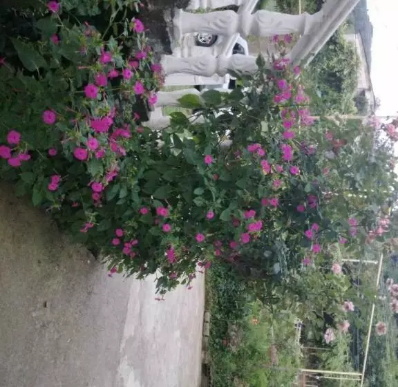 پانسیون Guest House Maka