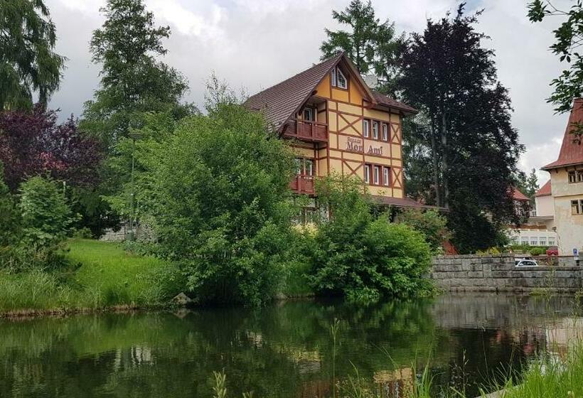 פנסיון Penzión Villa Mon Ami