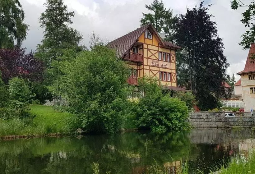 ペンション Penzión Villa Mon Ami