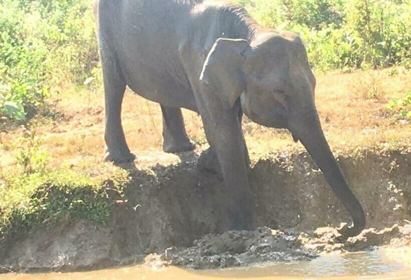 Majatalo Sunrise Safari House