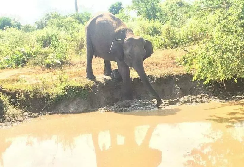 Majatalo Sunrise Safari House