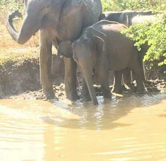 Majatalo Sunrise Safari House