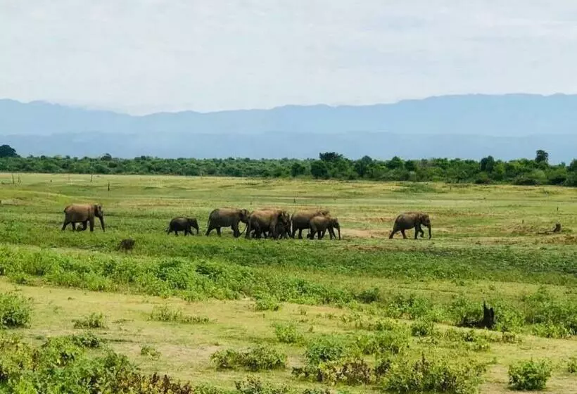 Majatalo Sunrise Safari House