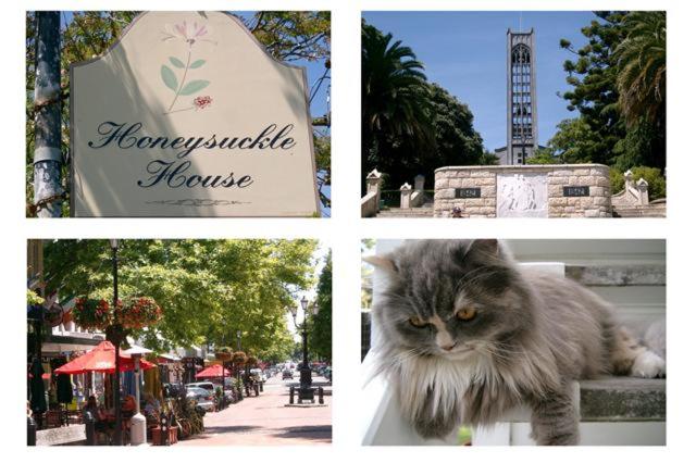 Alberg Honeysuckle House